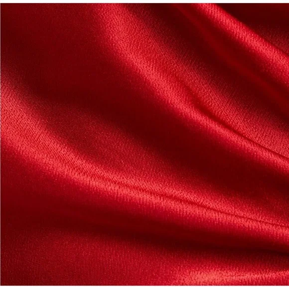 NWT Rails Alessandra Cowl Neck Mini Dress‎ in Scarlett Sz XL $238